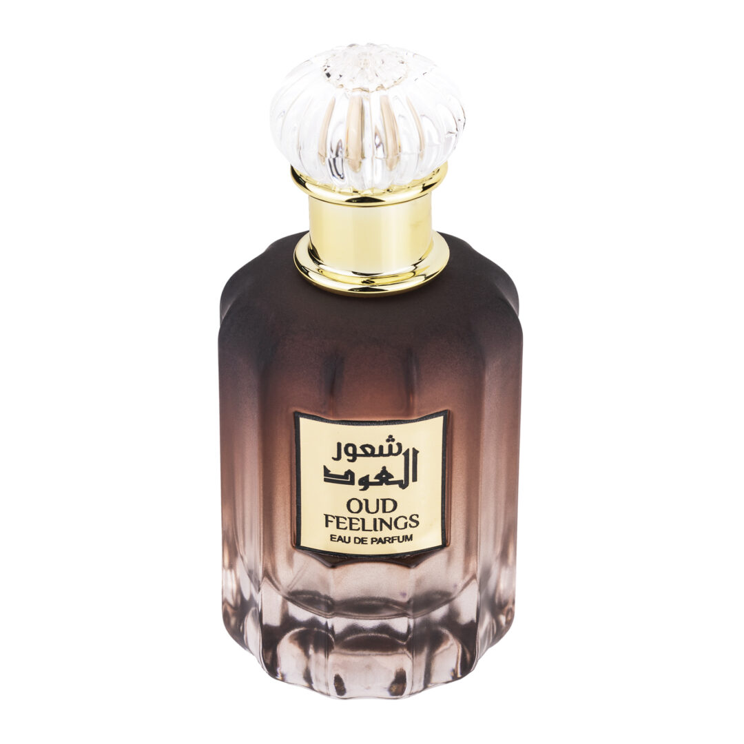 (plu01039) - Parfum Arabesc Oud Feelings,Wadi Al Khaleej,Barbati 100ml apa de parfum