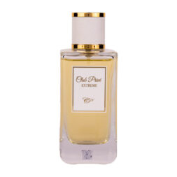 (plu05173) - Apa de Parfum Club Prive Extreme, Dina Cosmetics, Barbati - 100ml