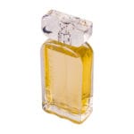 (plu05172) - Apa de Parfum Bravery For Ever, Dina Cosmetics, Barbati - 100ml - imagine 3